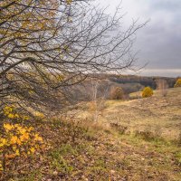 Октябрь в Царицыно... :: Владимир Жданов