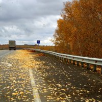 Листья жёлтые над городом кружатся... :: nadyasilyuk Вознюк