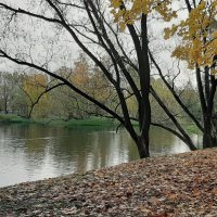 Осенний парк :: Наталья Герасимова