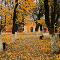 Осень. :: Сергей 
