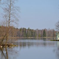 ГАТЧИНА, прогулка. :: Виктор Осипчук