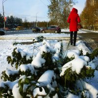 Ноябрь.. Оттепель в городе! :: Владимир 