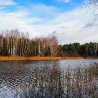 Природа в ноябре (репортаж из поездок по области) :: Милешкин Владимир Алексеевич 