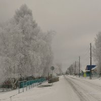 Сибирский поселок ноябрьским днём :: Сергей Шаврин