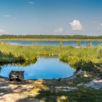 Торфяное озеро. Памятник природы. Большое Моховое. Пензенская обл. :: Ирина. Лузгина