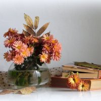 Хризантемы-осенние цветы. :: nadyasilyuk Вознюк