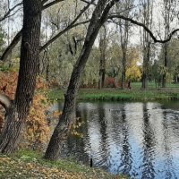 Парк Победы в октябре :: Наталья Герасимова