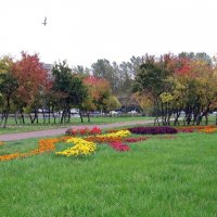 В осеннем парке :: Вера Щукина