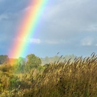 Начало сентября :: Валентин Котляров