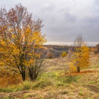 Октябрь в Царицыно... :: Владимир Жданов