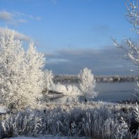 Не фоне реки Енисей :: Владимир Звягин