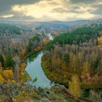 Излучина реки Бердь :: Дмитрий Конев