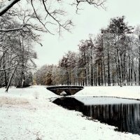 В парке прошел снег - 1 :: Сергей 