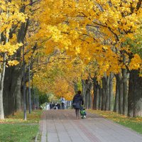 Осень в парке "Дружбы" :: Евгений Седов