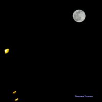 Луна :: Светлана Тихонина