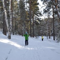 Лыжня в  Каркаралах :: Андрей Хлопонин