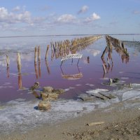 Озеро Сасык-Сиваш (Розовое солёное озеро) :: Виктор Мухин