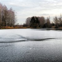 Первый лёд на пруду. :: Милешкин Владимир Алексеевич 