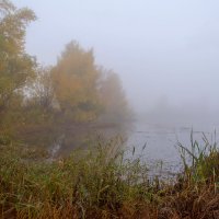 Про туман :: Владимир Жуков