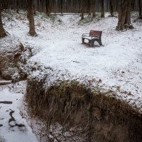 Одинокая скамейка в парке. :: Николай Галкин 