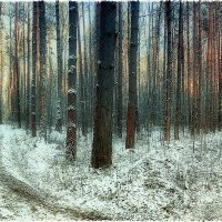 Первый снег. :: Николай Феофанов
