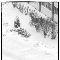 1.Идут белые снеги... :: Юрий Велицкий