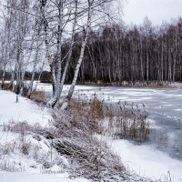 Смоленщина в ноябре. :: Милешкин Владимир Алексеевич 