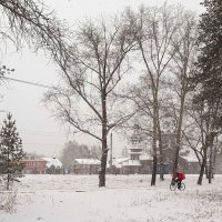 Доставка еды в любую погоду ! :: Мила Бовкун