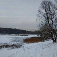 Лебедянский почти зимой :: Андрей Лукьянов