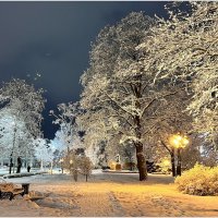 Первый снег. :: Валерия Комова