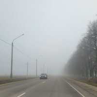 На дорогах туман :: Татьяна 