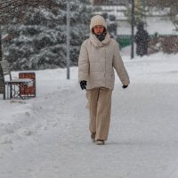 Ах снег снежок ... :: Анатолий. Chesnavik.