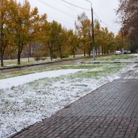 Прогулка по первому снегу :: Александр Синдерёв