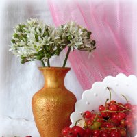 Красна ягода. :: nadyasilyuk Вознюк