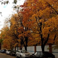 Мой город в золотую осень :: Елена Семигина