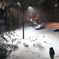 Снежный вечер ноября :: Ирина Румянцева