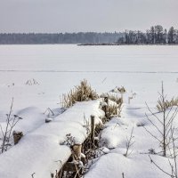 Волга зимой :: Дмитрий Балашов