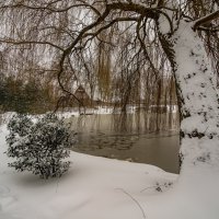Зима в парке :: Николай Гирш