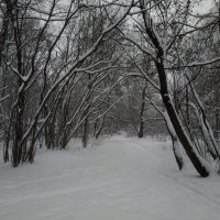 В Москве - снег и время ЧБ фотографии :: Андрей Лукьянов