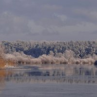 Осенне - зимний пейзаж :: Антонина Гугаева
