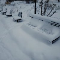 По известному принципу "Каждому - по мягкому месту" :-) :: Андрей Лукьянов