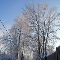 Зима!!! :: Вера Щукина