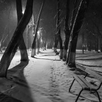 В зимнем парке :: Валерий Иванович