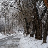 Первый снег... :: Влад Никишин
