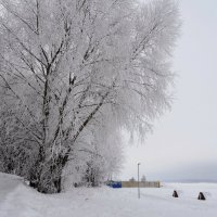 Берег Волги в морозный день :: Ната Волга