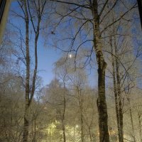 Взгляд в окно на убывающую луну :: Мария Васильева
