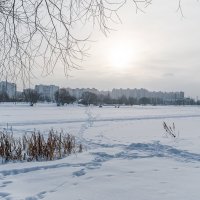На зимнем пруду :: Валерий Иванович