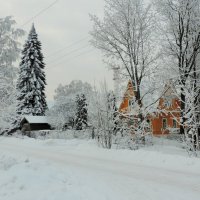 Зима в Токсово :: Ирина 