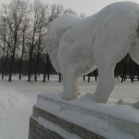 Львы зимой :: Митя Дмитрий Митя