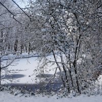 Снежный ноябрь :: Рита Симонова